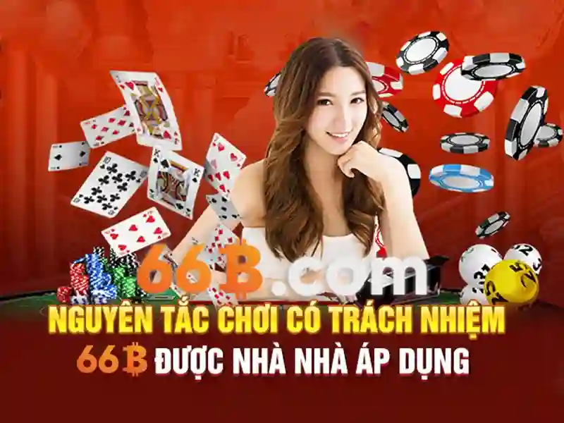 Giới thiệu về 66B