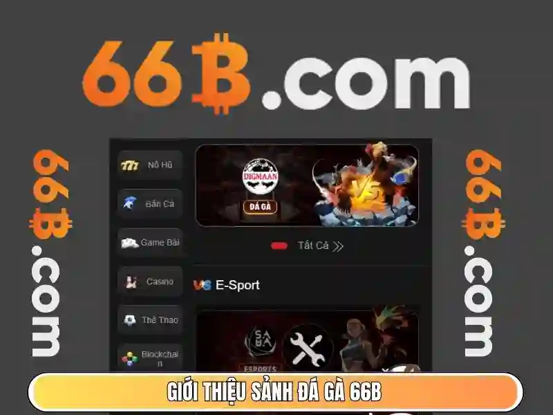 Ung dung cua 66b trong du lieu va ma hoa