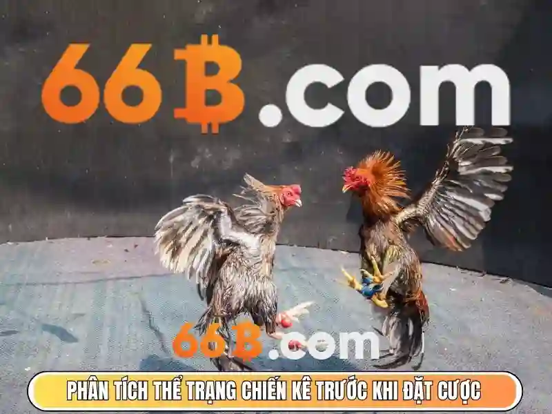 Kiến trúc và cách thức hoạt động