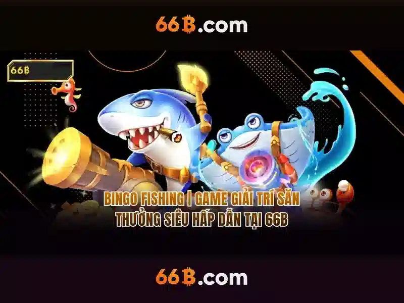 66b là gì?