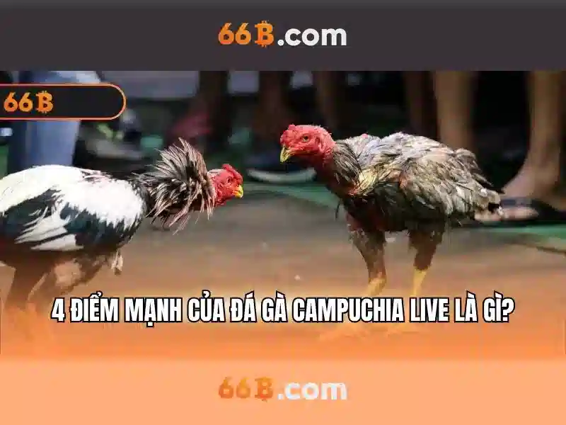 Nguồn gốc và ý nghĩa