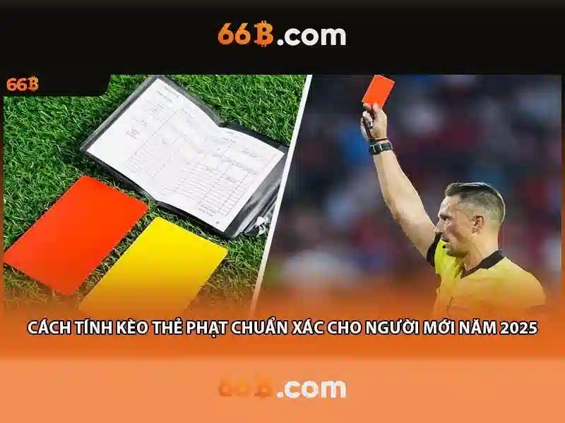 Hướng dẫn các bước đặt cược đá gà chi tiết tại 66b