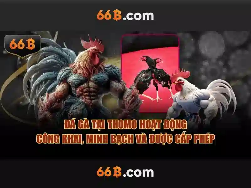 Giới thiệu về mô hình 66B