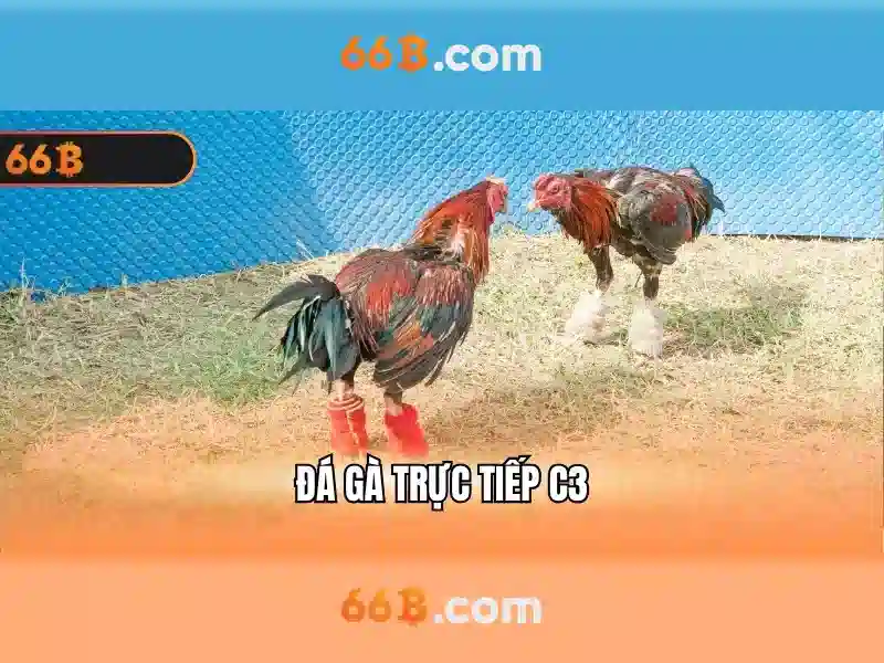 baccarat 66b