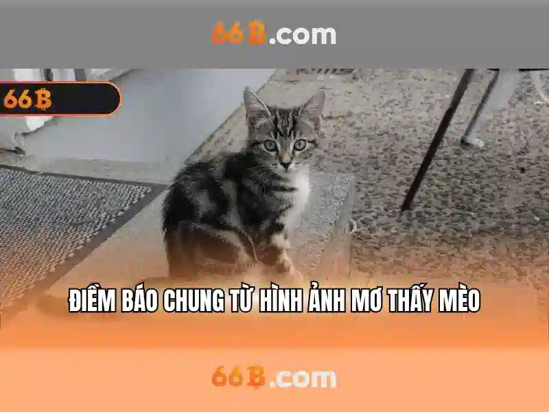 Tác động và ứng dụng tiềm năng