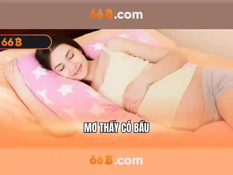 66B là gì