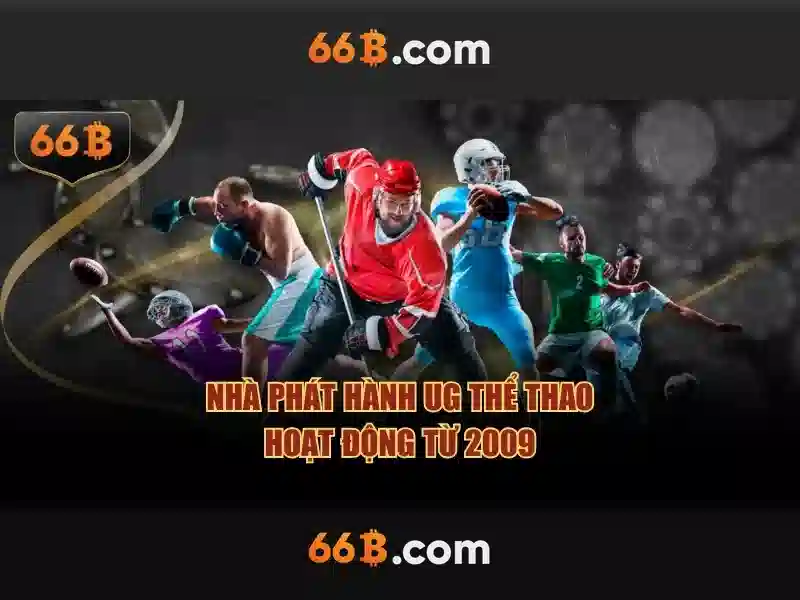 66b là gì?