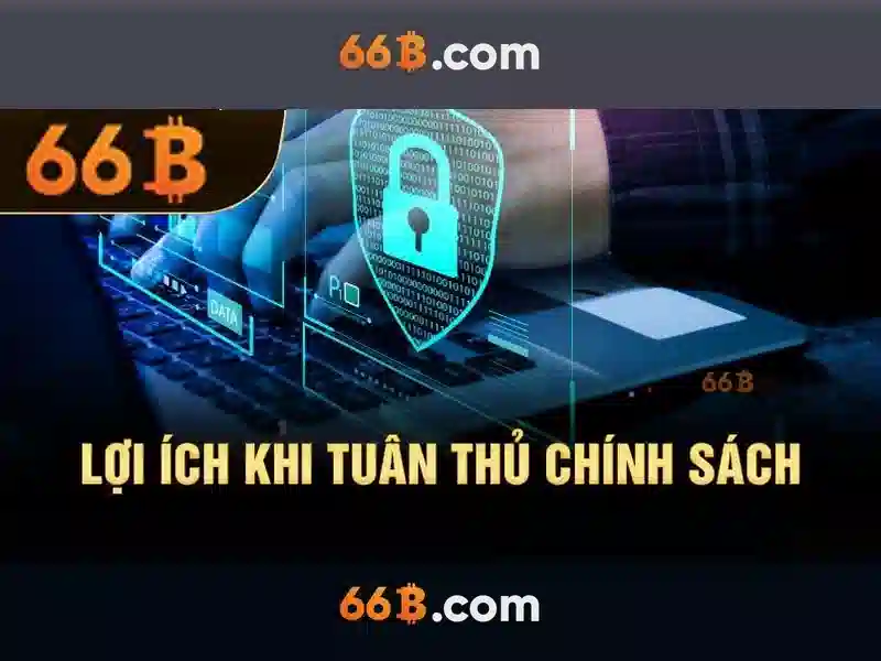 66B là gì