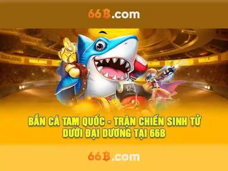 66b là gì?