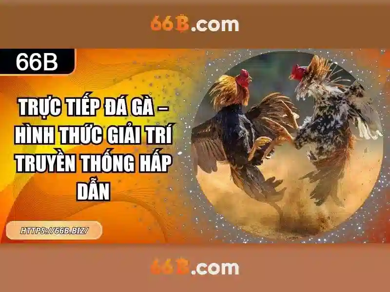 Các đặc điểm chính của 66b