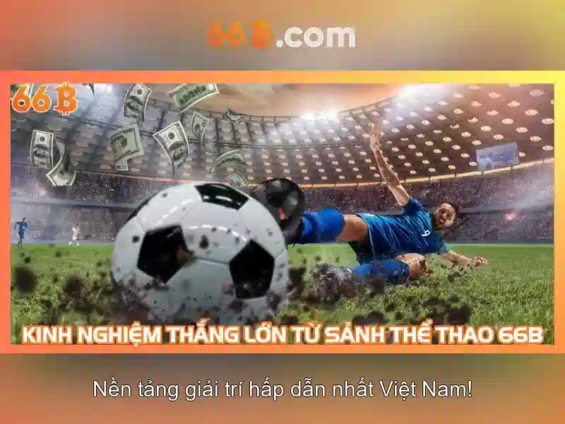 66B là gì?
