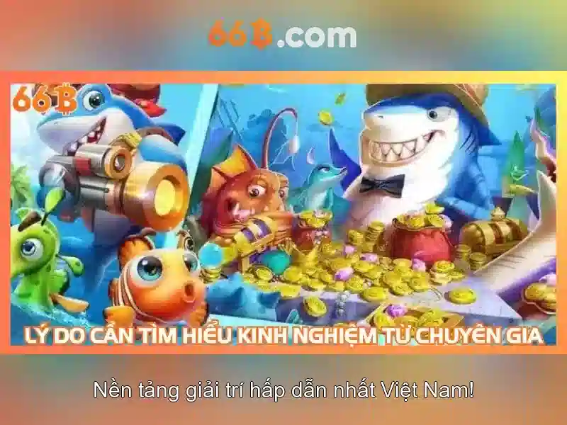 Các thách thức và triển vọng của 66b