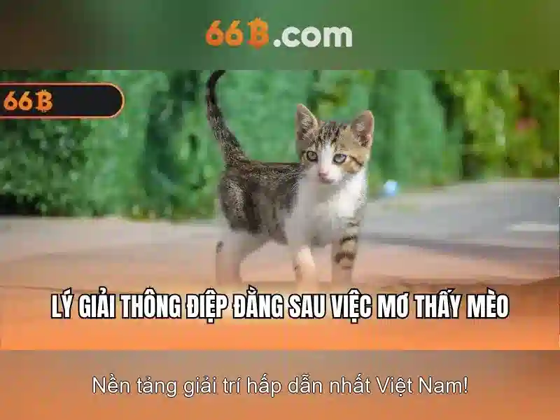 Tương lai và thách thức của 66b