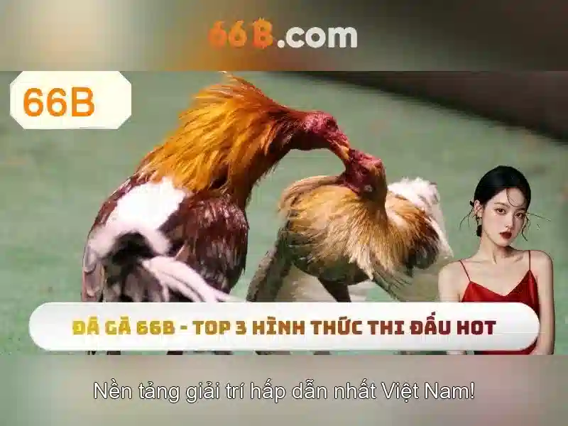 66b là gì?