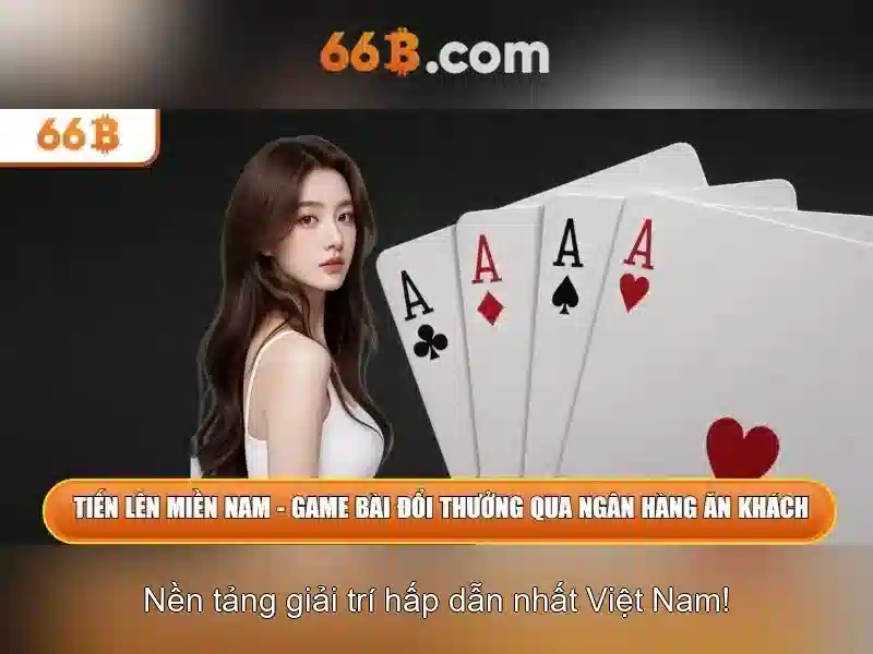 Khung cơ bản của 66B