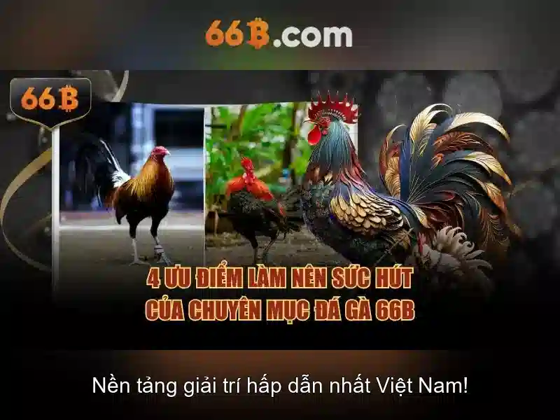 Thách thức và an toàn