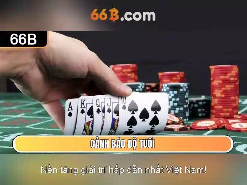 Giới thiệu về 66B