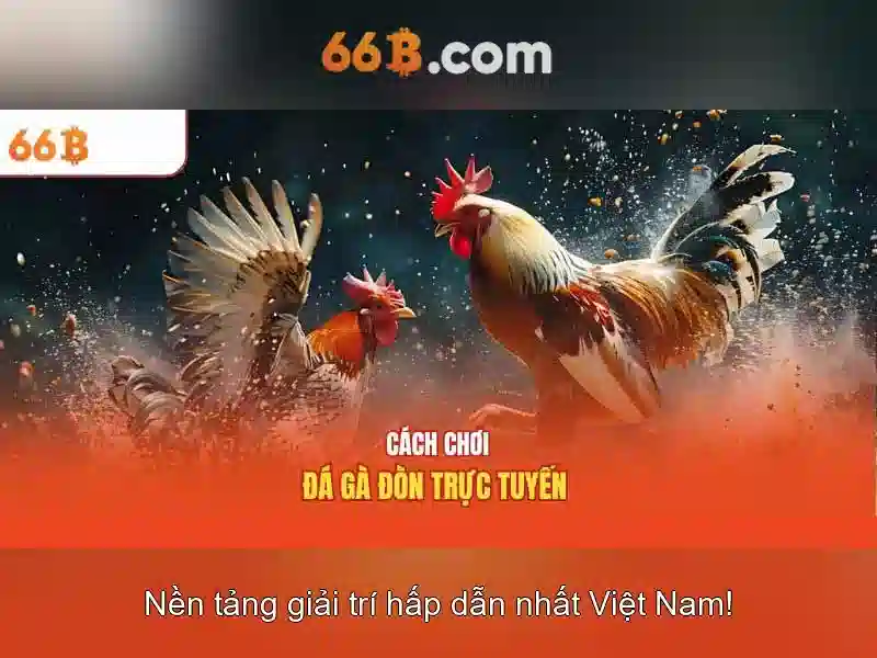 Kiến trúc và quy mô