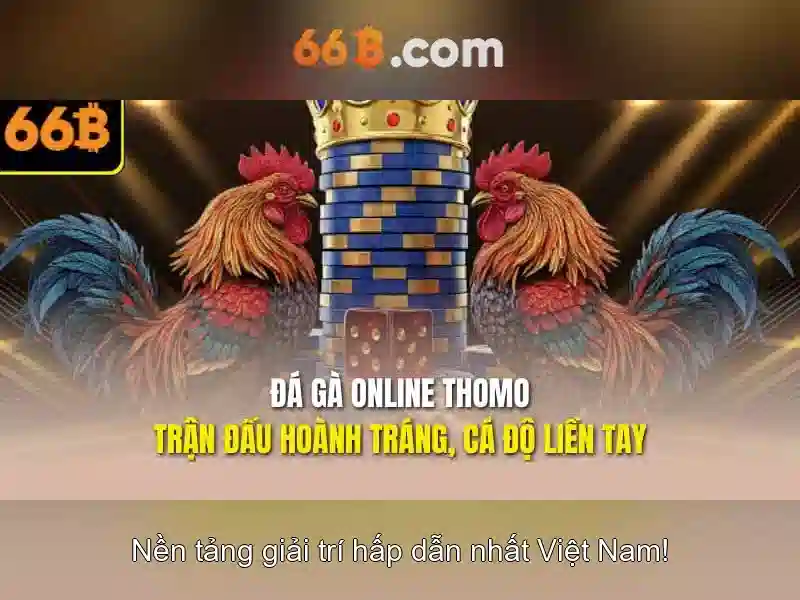 66B là gì?