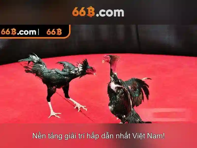 Cấu trúc và khả năng của 66B