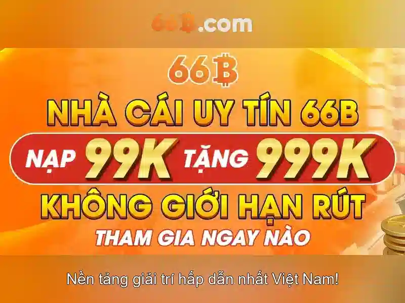 66B là gì và vì sao quan trọng