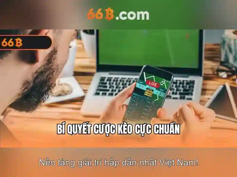 66b là gì?