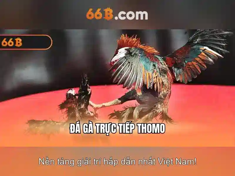 Tiềm năng ứng dụng 66b