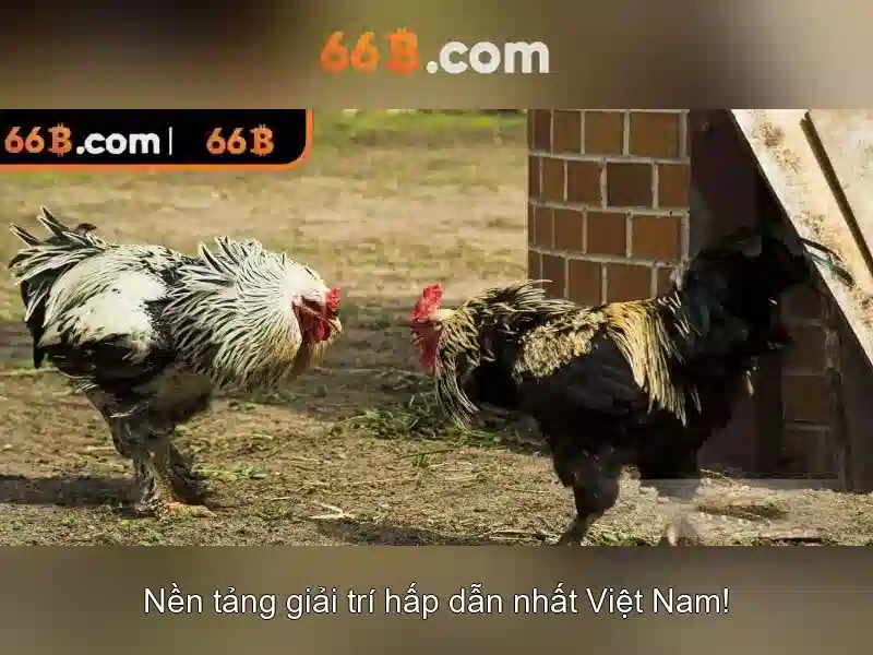Đào tạo và dữ liệu