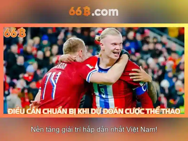 66B là gì?