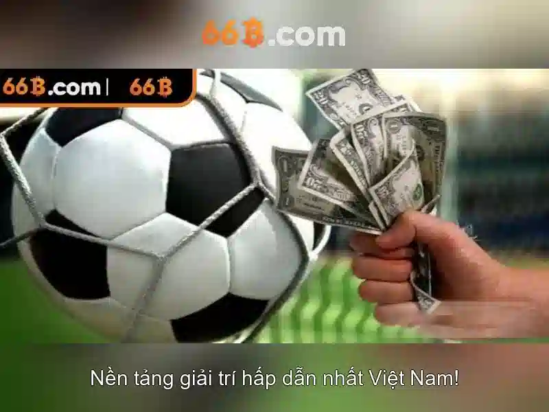66b là gì?