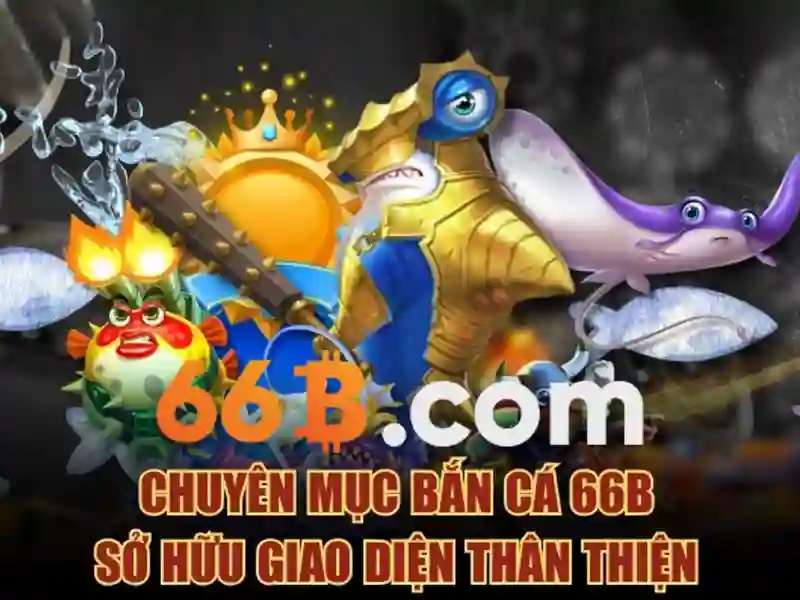 66B là gì?