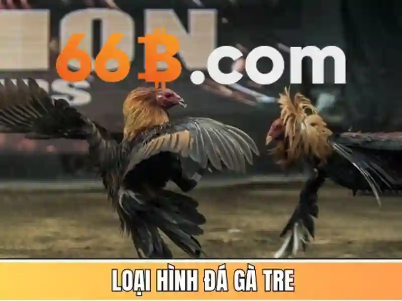 Ứng dụng và hiệu suất của 66B