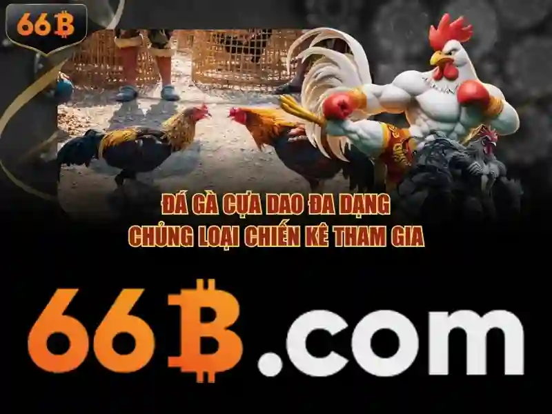 Giới thiệu về 66B