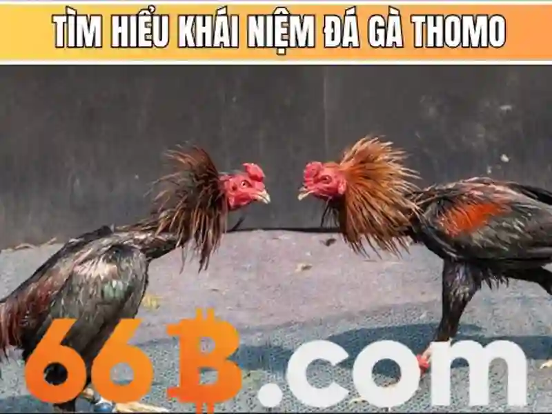 Nguồn gốc và ý nghĩa của 66b