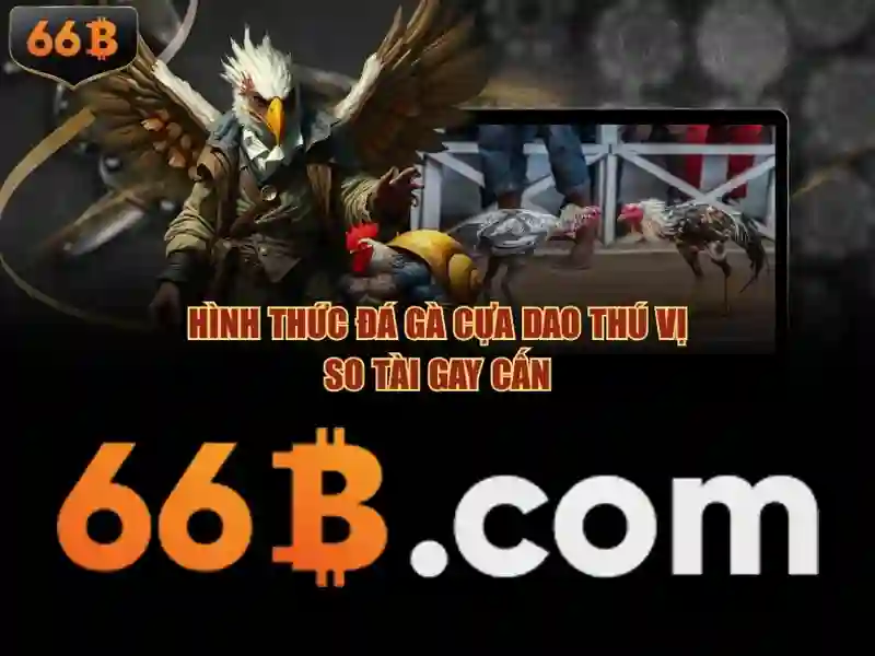 Đào tạo, dữ liệu và chi phí