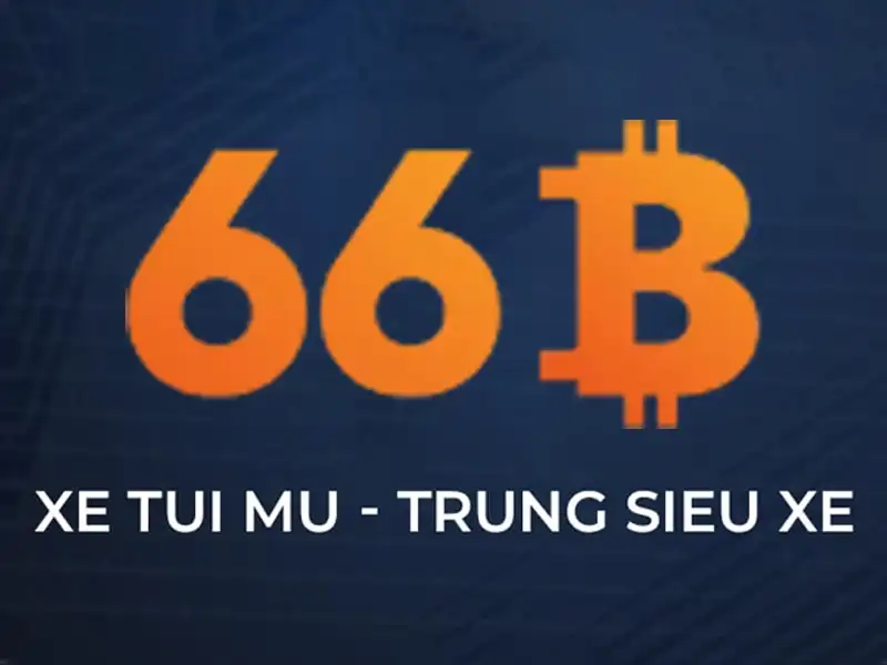 Khái niệm và quy mô của 66B